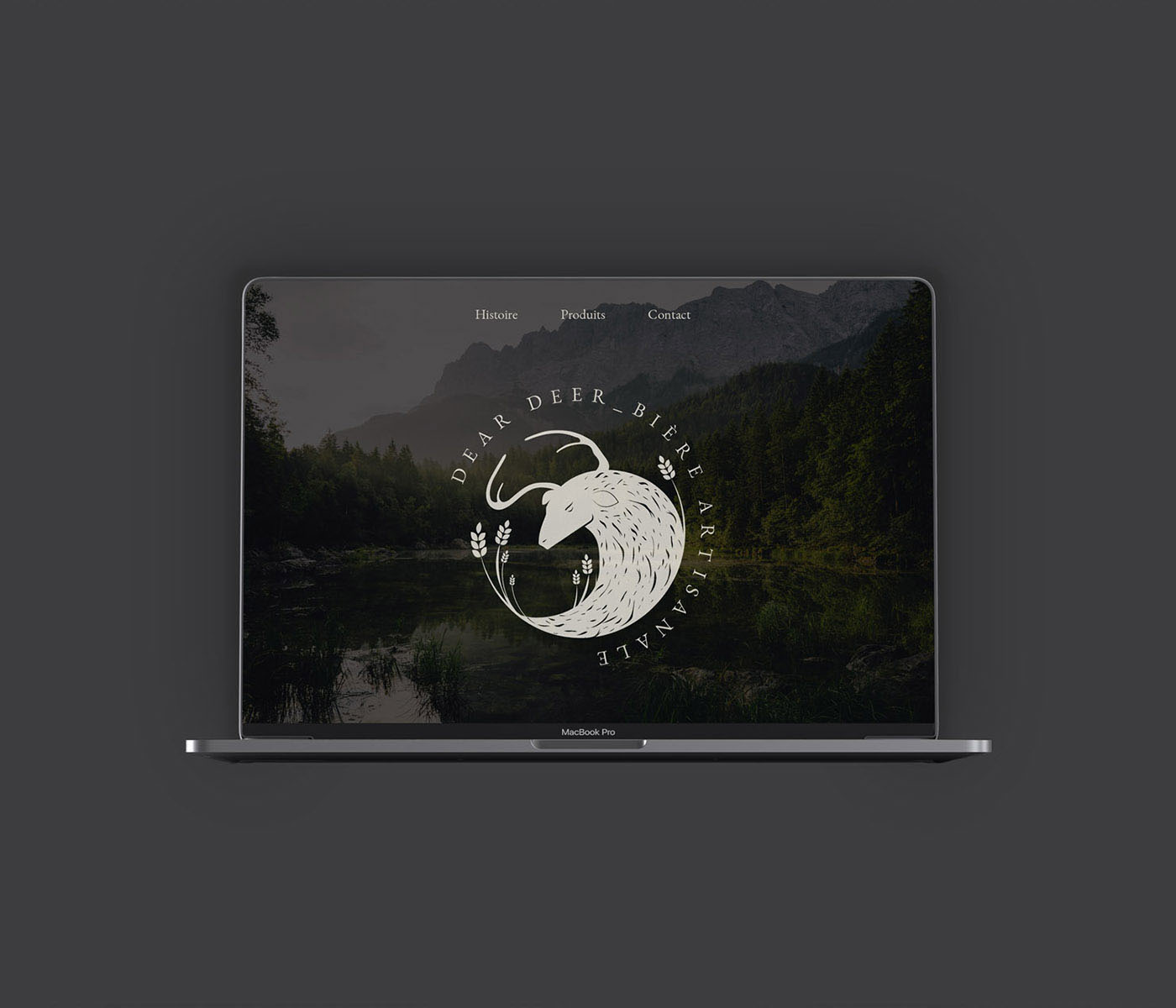 Dear Deer. Page d’accueil du site sur ordinateur.