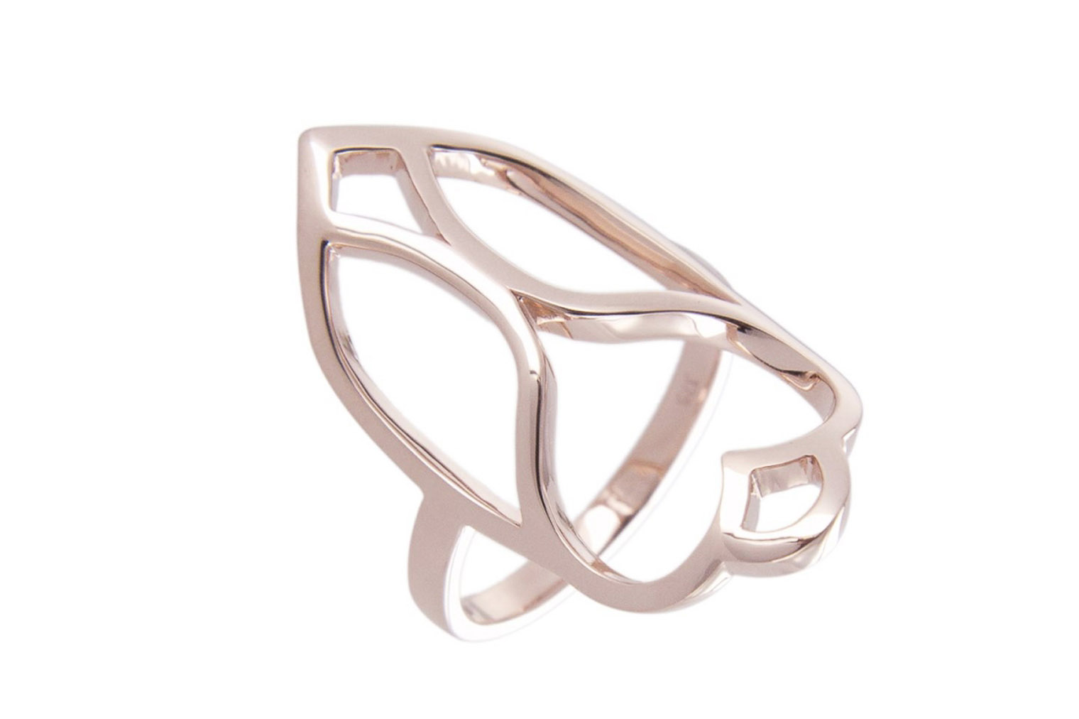 Fusion by M. Photo bague scarabée.