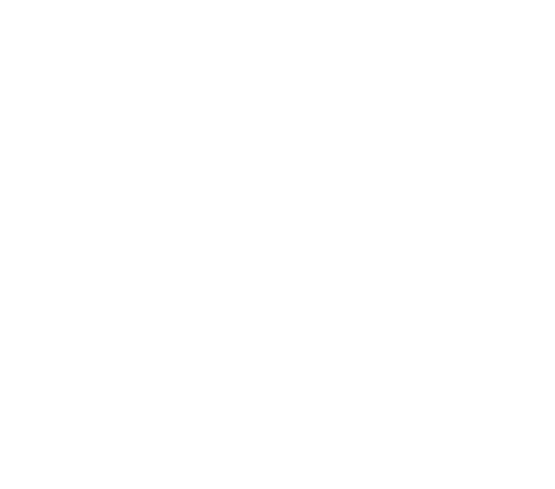 logo ls-a blanc